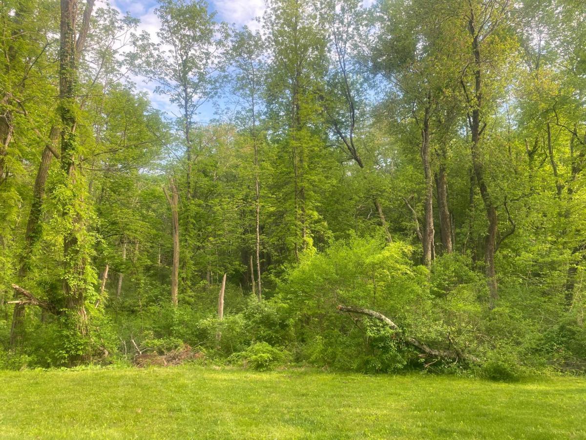Newly Renovated 3Br Hudson Valley House Ulster Park Exteriér fotografie